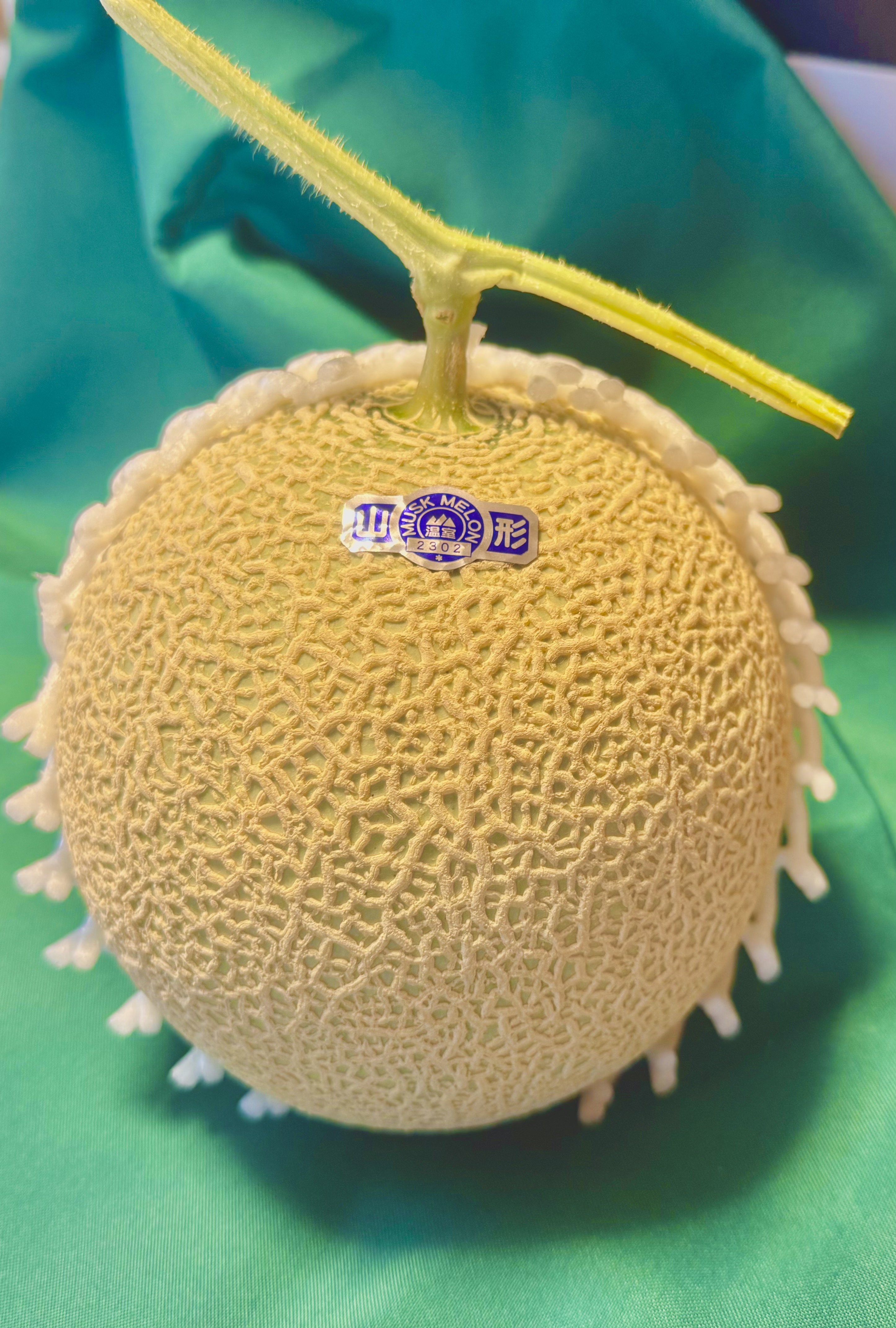 奥山農園 アールスメロン